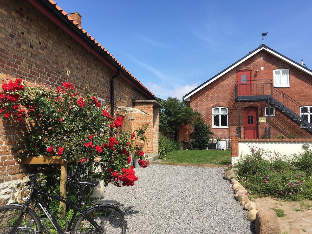 Sandby Bed & Breakfast Borrby